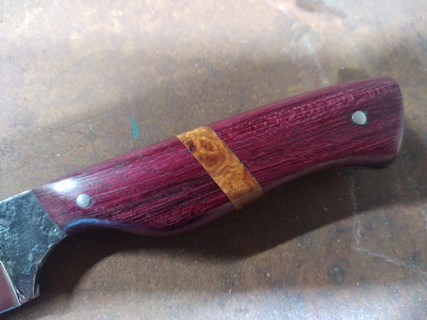 couteau fixe manche en amarante et loupe d'Amboine