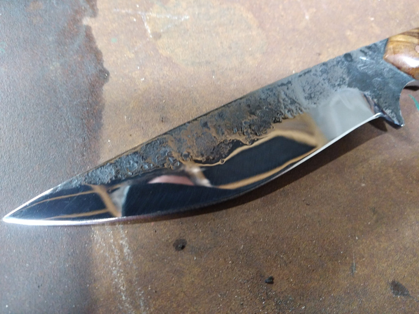 couteau d'extérieur manche en fresne olivier