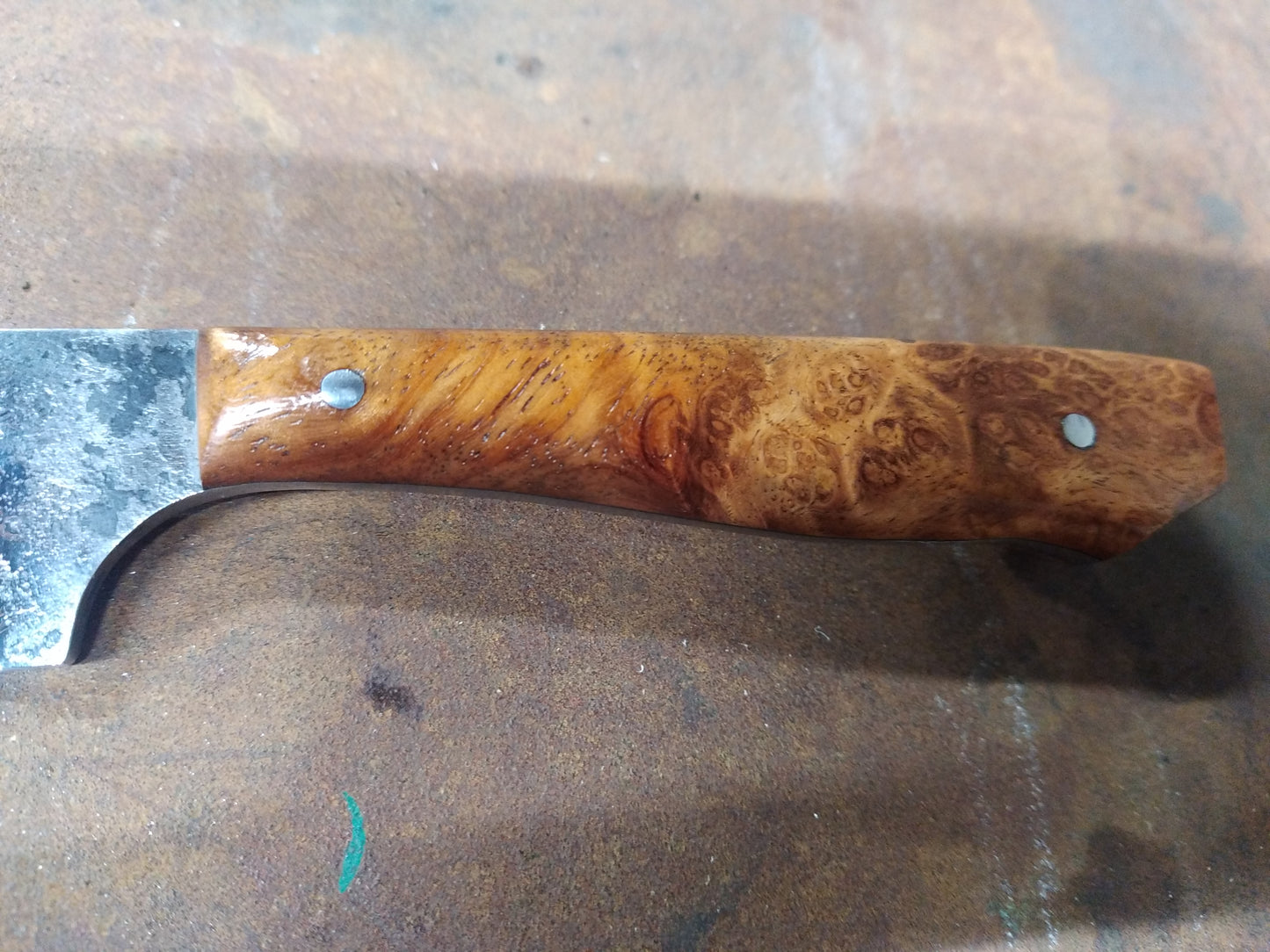 couteau fixe manche en loupe amboine