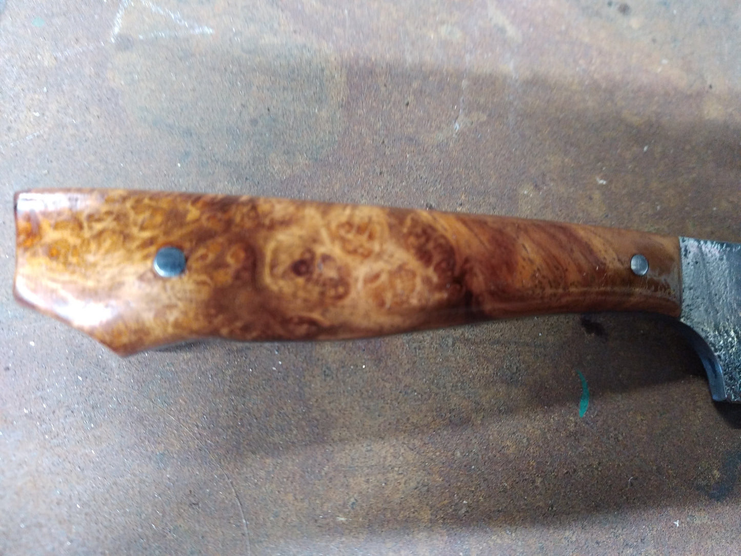 couteau fixe manche en loupe amboine
