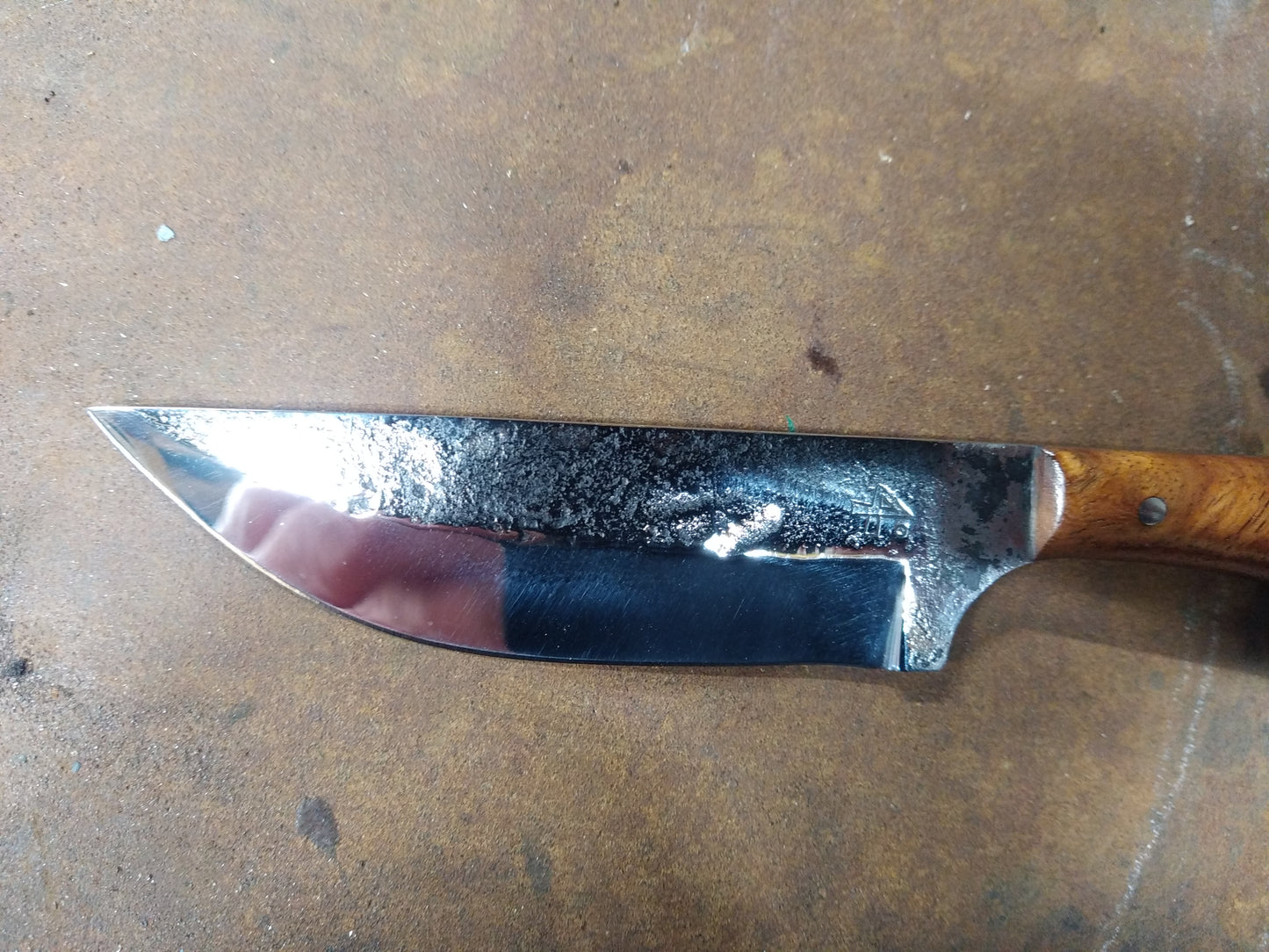 couteau fixe manche en loupe amboine